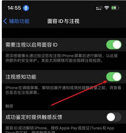 信宜苹果14维修网点分享iPhone14注视感知功能有什么用 